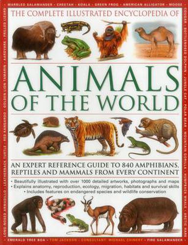 Cover image for The Complete Illustrated Encyclopedia of Animals of the World: An Expert Reference Guide to 840 Amphibians, Reptiles and Mammals from Every Continent