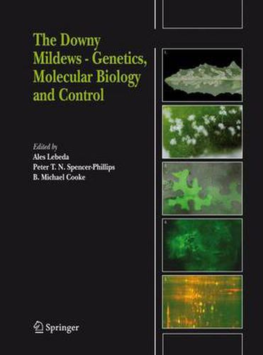 Cover image for The Downy Mildews - Genetics, Molecular Biology and Control