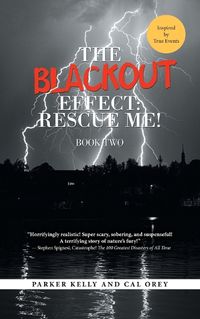 Cover image for The Blackout Effect