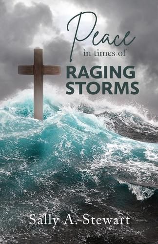 Cover image for Peace in Times of Raging Storms