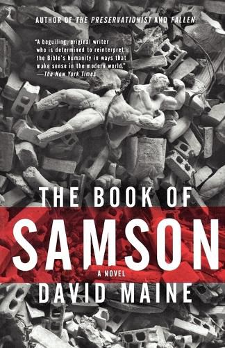 Cover image for The Book of Samson