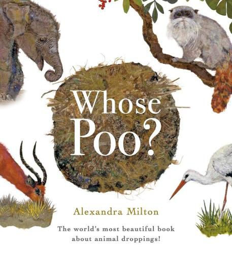 Cover image for Whose Poo?