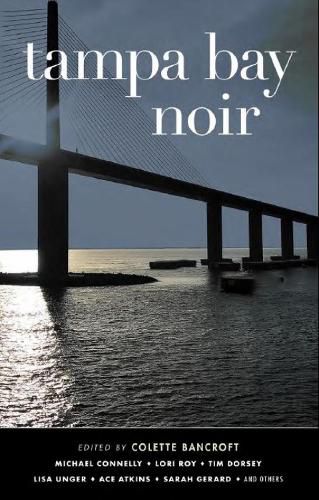 Cover image for Tampa Bay Noir