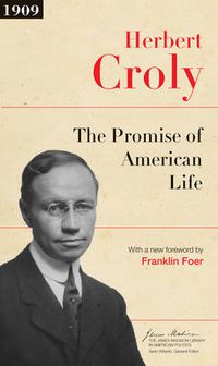 Cover image for The Promise of American Life: Updated Edition
