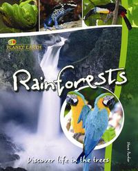 Cover image for Rainforests: Discover Life in the Trees