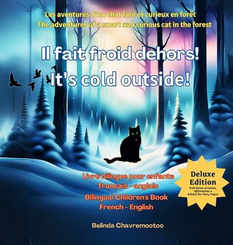 Cover image for Il fait froid dehors! - It's cold outside! (Edition bilingue / Bilingual Edition)