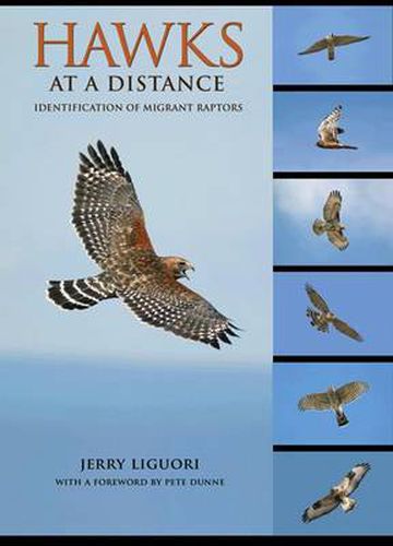 Cover image for Hawks at a Distance: Identification of Migrant Raptors