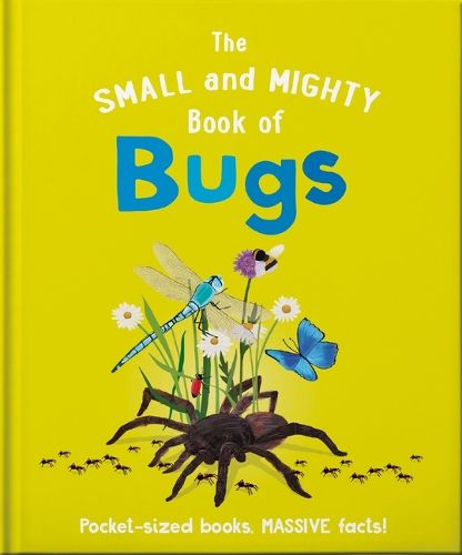 Cover image for The Small and Mighty Book of Bugs