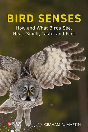 Cover image for Bird Senses: How and What Birds See, Hear, Smell, Taste and Feel