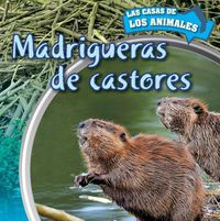 Cover image for Madrigueras de Castores (Inside Beaver Lodges)