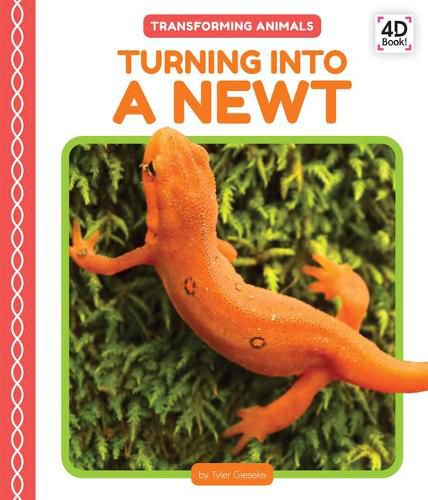 Cover image for Turning Into a Newt