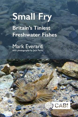 Cover image for Small Fry