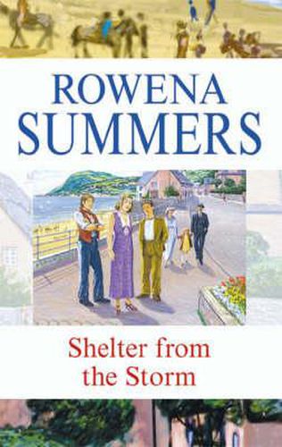 Cover image for Shelter from the Storm