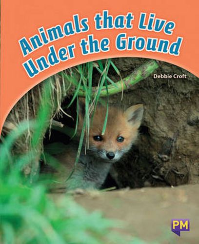 Animals that Live Under the Ground