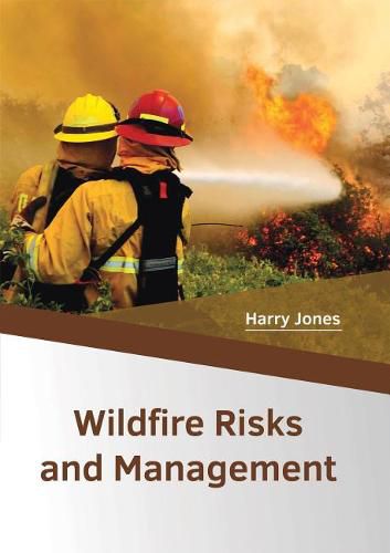 Wildfire Risks and Management