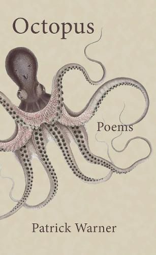 Cover image for Octopus