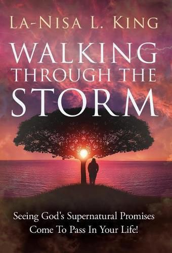 Cover image for Walking Through The Storm: Seeing God's Supernatural Promises Come To Pass In Your Life!