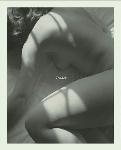Cover image for Tender