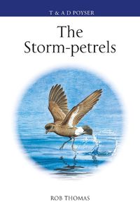 Cover image for The Storm-petrels