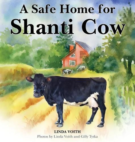 Cover image for A Safe Home for Shanti Cow