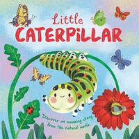 Cover image for Little Caterpillar