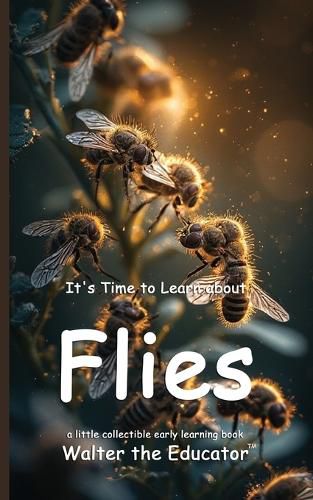Cover image for It's Time to Learn about Flies