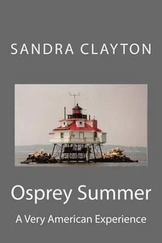 Cover image for Osprey Summer