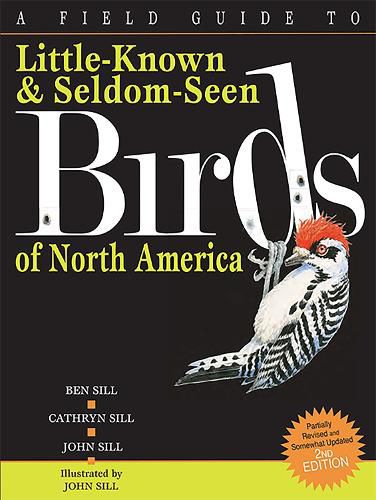 Cover image for A Field Guide To Little-Known And Seldom-Seen Birds Of North America