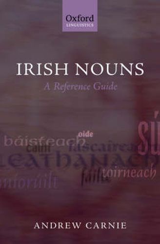 Cover image for Irish Nouns: A Reference Guide