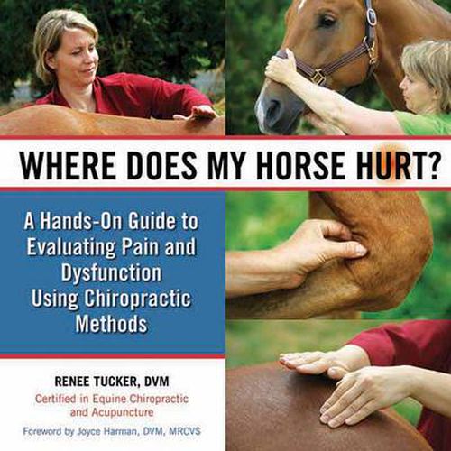 Cover image for Where Does My Horse Hurt?: A Hands-On Guide to Evaluating Pain and Dysfunction Using Chiropractic Methods