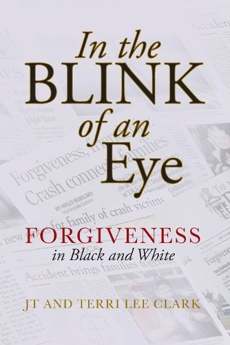 Cover image for In the Blink of an Eye