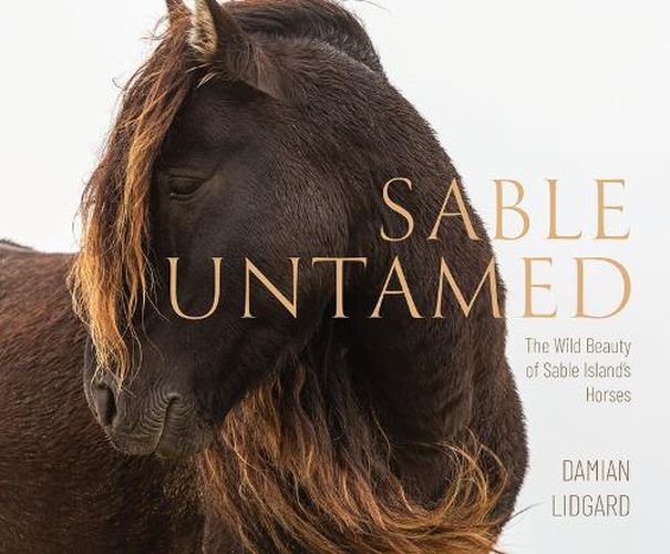 Cover image for Sable Untamed