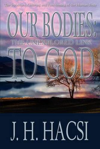 Cover image for Our Bodies: The Unexplored Link to God: The Structure, Coloring and Functioning of the Human Body