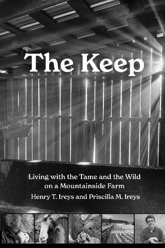 Cover image for The Keep