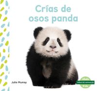 Cover image for CriAs De Osos Panda / Panda Cubs
