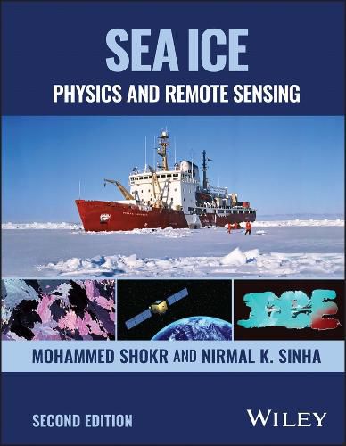 Cover image for Sea Ice