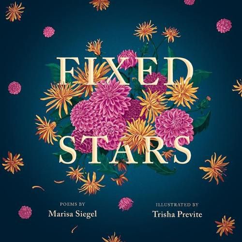 Cover image for Fixed Stars