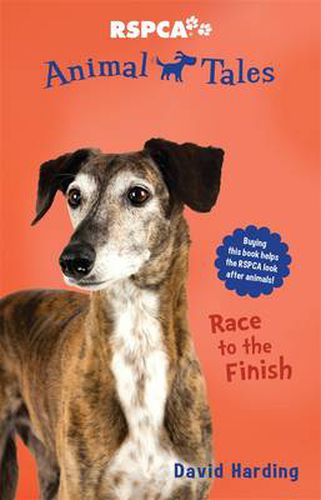 Cover image for Race to the Finish