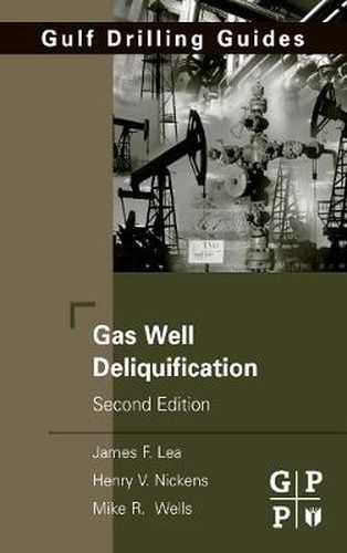 Cover image for Gas Well Deliquification