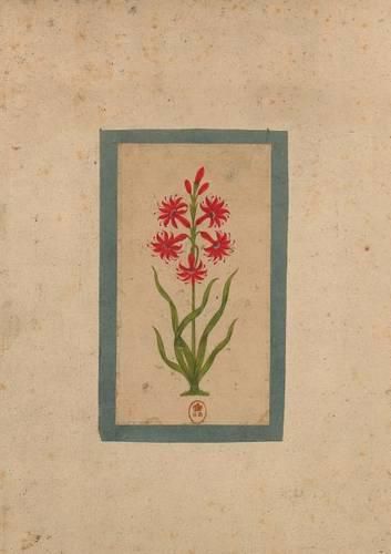 Carnet Blanc, Fleur 1, Miniature Indienne 18e Siecle