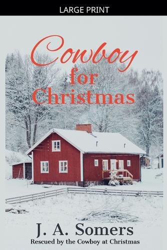 Cover image for Cowboy for Christmas