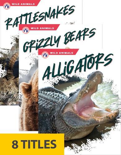 Cover image for Wild Animals (Set of 8)