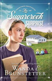 Cover image for The Sugarcreek Surprise