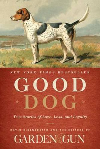 Cover image for Good Dog: True Stories of Love, Loss, and Loyalty