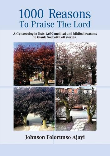 Cover image for 1000 Reasons to Praise the Lord