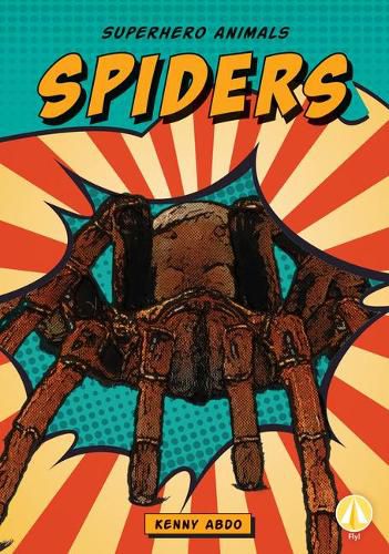 Cover image for Spiders