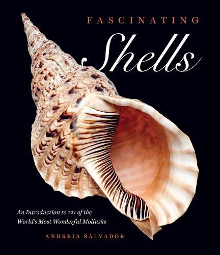 Cover image for Fascinating Shells: An Introduction to 121 of the World's Most Wonderful Mollusks