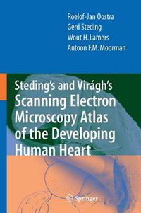 Cover image for Steding's and Viragh's Scanning Electron Microscopy Atlas of the Developing Human Heart