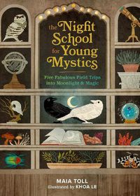 Cover image for The Night School for Young Mystics