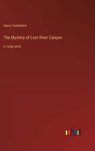 Cover image for The Mystery of Lost River Canyon